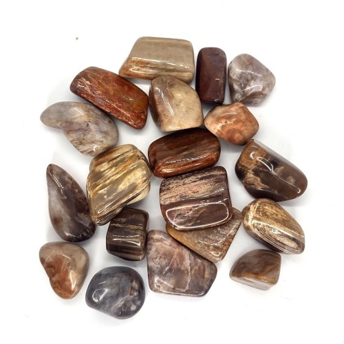 Legno Fossile burattato - Africa - 500gr