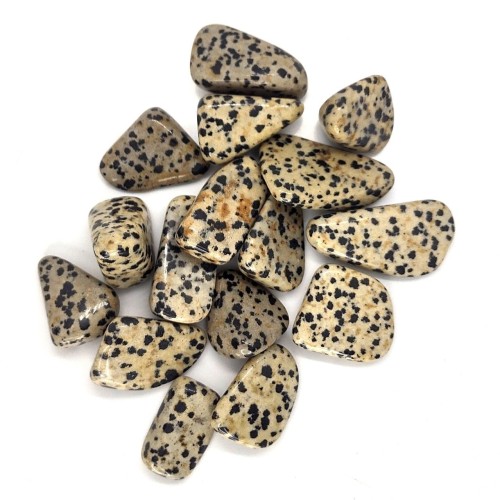 Diaspro Dalmata burattato - Africa - 500gr