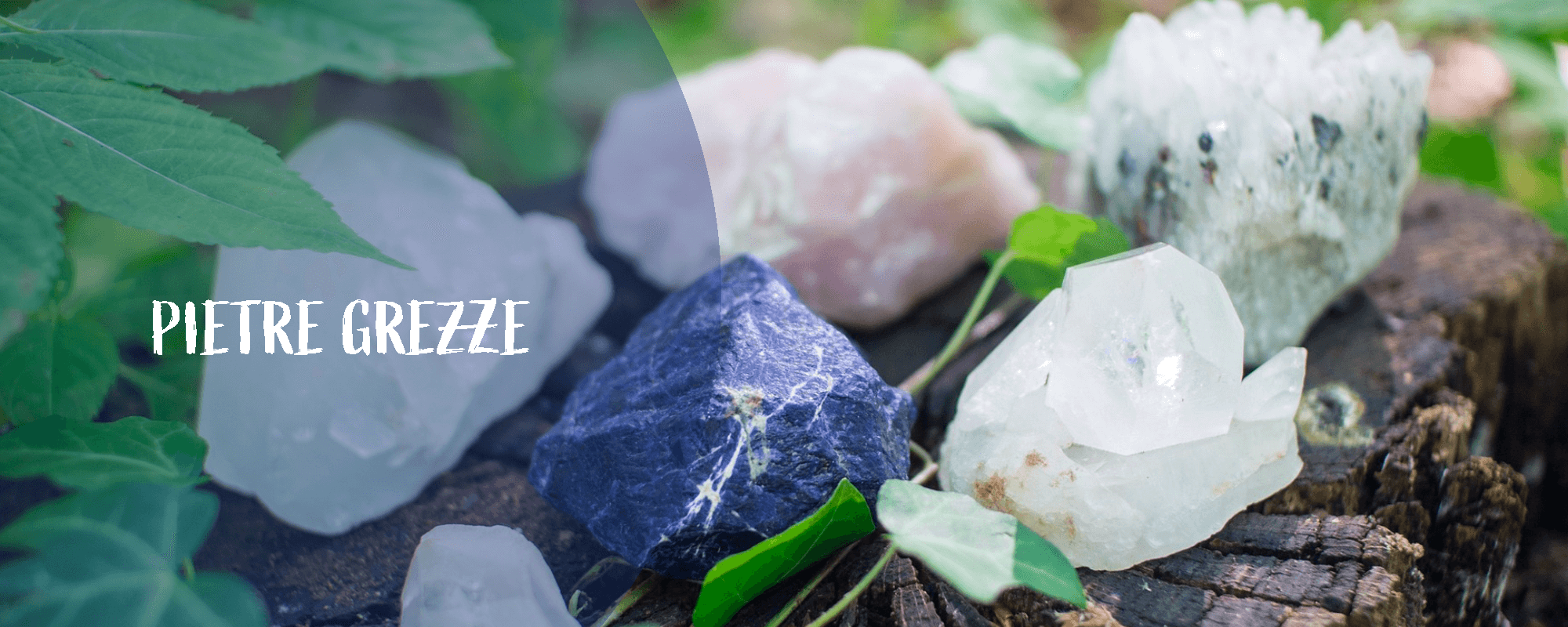 Clicca qui per vedere la sezione Pendolini